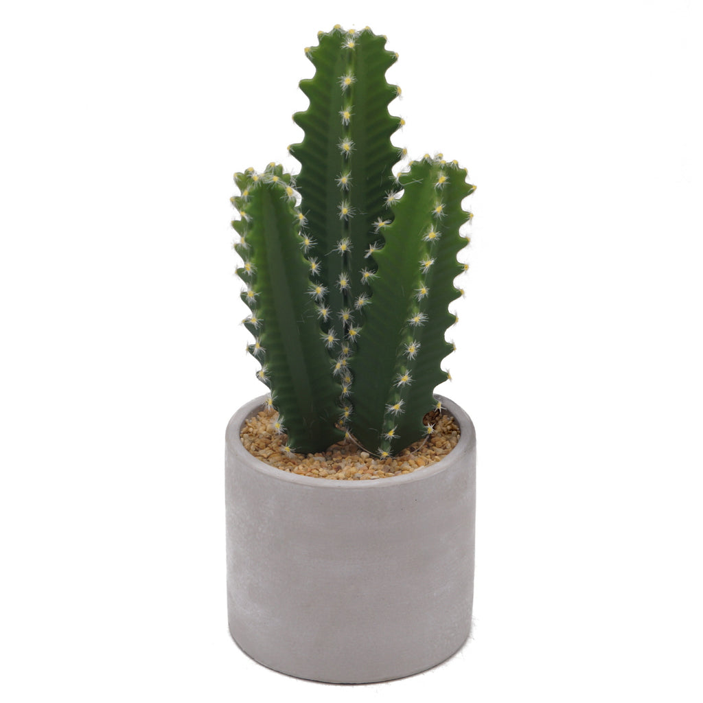 Faux Cactus in Cement Pot