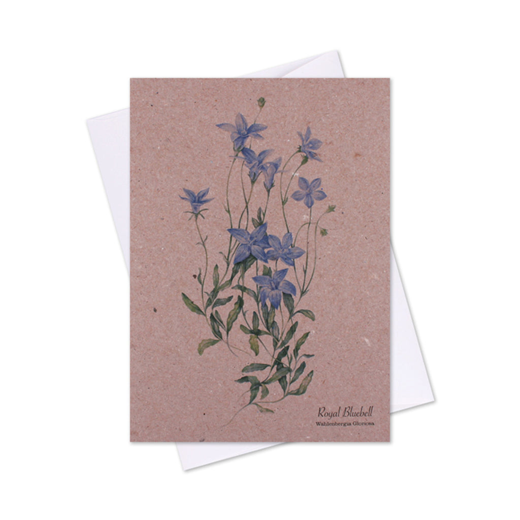 Greeting Card - Royal Bluebell