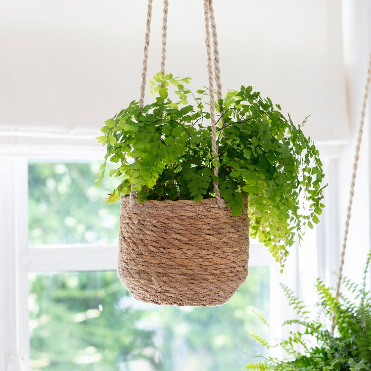 Seagrass Hanging Plant Pot