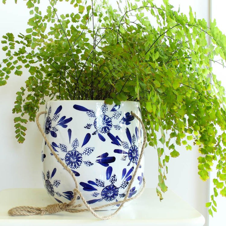 blue and white hanging planter Blue & White Hanging Pot